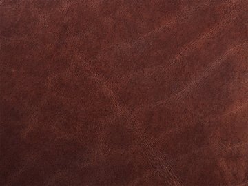 primavera castanho 02